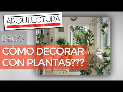 Plantas arquitectónicas con diseño de interiores con plantas